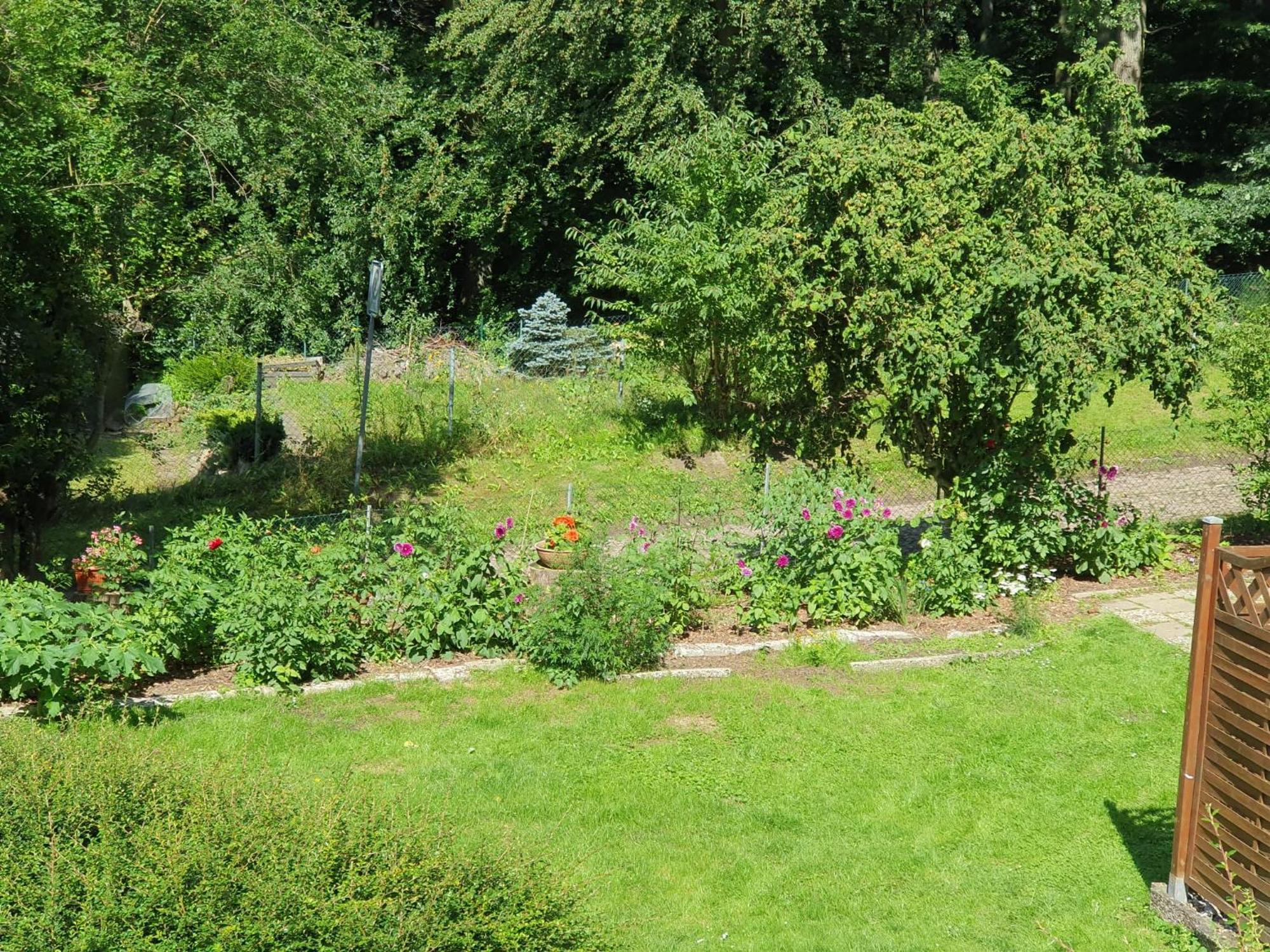 Ferienhaus In Geesthacht-Tesperhude Direkt Am Waldrand Exterior foto