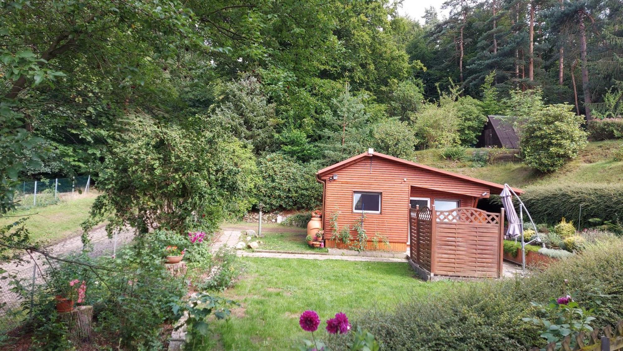 Ferienhaus In Geesthacht-Tesperhude Direkt Am Waldrand Exterior foto
