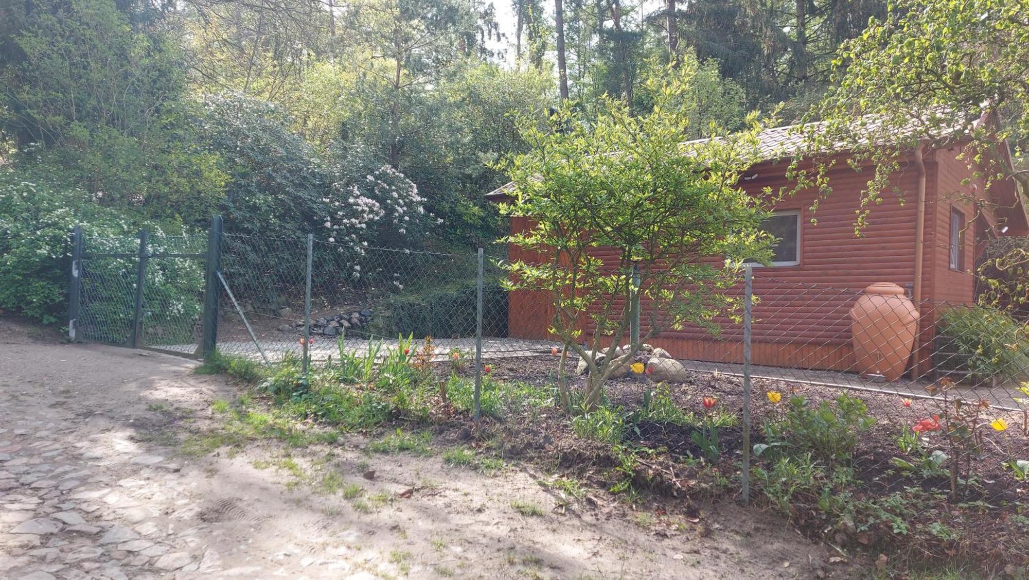 Ferienhaus In Geesthacht-Tesperhude Direkt Am Waldrand Exterior foto